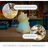 imageLuminara Flameless Disney Encanto Color Changing LED Candle 32quot x 65quot Battery Operated w 12 Button Remote Control Real Wax Unscented SafeDinosaur