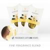 imageLuminara Fragrance Diffusing Pods  Set of 3 White Tea  Natural Home Scent Refills  Air Purifying Reed Diffuser Alternative for Room AmbianceVanilla Sea Salt