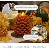 imageLuminara Realistic Artificial Moving Flame Pine cone Flameless LED Candle  White 3quot x 45quotBrown