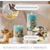 imageLuminara Embedded Flameless LED Candle  Orange Leaf 35quot x 65quot  Moving Flame Pillar Battery Operated Timer Real Wax Unscented SafeTeal