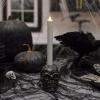 imageLuminara Gothic Skull Candle Holder  Black 375quot x 425quot  Fits 1quot W LED Candlestick  Halloween Day of Dead Home Decoration  Victorian StyleBlack Day of The Dead