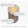 imageLuminara Embedded Birch Twigs Flameless LED Candle 35quot x 65quot Moving Flame Real Wax Unscented Battery Operated Decorative Home Lighting Safe35 x 65