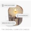 imageLuminara Embedded Birch Twigs Flameless LED Candle 35quot x 65quot Moving Flame Real Wax Unscented Battery Operated Decorative Home Lighting Safe35 x 45