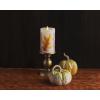imageLuminara Embedded Flameless LED Candle  Red Berry 35quot x 45quot  Moving Flame Pillar Battery Operated Timer Real Wax Unscented SafeOrange Leaf