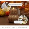 imageLuminara Flameless Fall Harvest Decor  Gourd Figural LED Candle Orange Natural Color 53quot x 75quot Real Wax Moving Flame Battery Operated wTimer