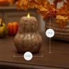 imageLuminara Flameless Fall Harvest Decor  Gourd Figural LED Candle Orange Natural Color 53quot x 75quot Real Wax Moving Flame Battery Operated wTimer