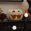 imageLuminara JackoLantern Pumpkin Tealight Holder  Orange 10quot x 675quot  Halloween Dry Brush Resin Fall Home Autumn Harvest Festival Party DecorPerfectly Pale