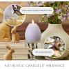 imageLuminara  Flameless Holiday Crystal Beads Glitter Sphere Candle  Spring Lake  Pack of 14x425  Auto Timer Builtin 5Hour Timer Indoor UseChalky Gentle Lavender