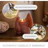 imageLuminara Turkey Flameless Figural Flickering LED Candle 525quot x 6quot Chalky Finish Real Unscented Wax Time Function Fall Harvest Decoration Caramel Caf