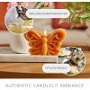 imageLuminara Sunlit Honey Butterfly Garden Candle Flameless RealFlame NatureInspired Battery Operated LED Decor Spring Summer Collection 66quot x 43quot