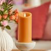 imageLuminara Sunlit Honey Garden Pillar Candles  Flameless RealFlame NatureInspired Battery Operated LED Decor  Spring Summer Collection  3quot x 45quotSunlit Honey