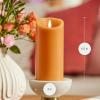 imageLuminara Sunlit Honey Garden Pillar Candles  Flameless RealFlame NatureInspired Battery Operated LED Decor  Spring Summer Collection  3quot x 45quotSunlit Honey