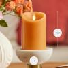 imageLuminara Sunlit Honey Garden Pillar Candles  Flameless RealFlame NatureInspired Battery Operated LED Decor  Spring Summer Collection  3quot x 45quotSunlit Honey