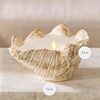 image:imageLuminara Coastal Seashell Flameless Candle Moving Flame LED Real Wax Candle Tun ShellClamshell