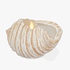 image:imageLuminara Coastal Seashell Flameless Candle Moving Flame LED Real Wax Candle Tun ShellTun Shell